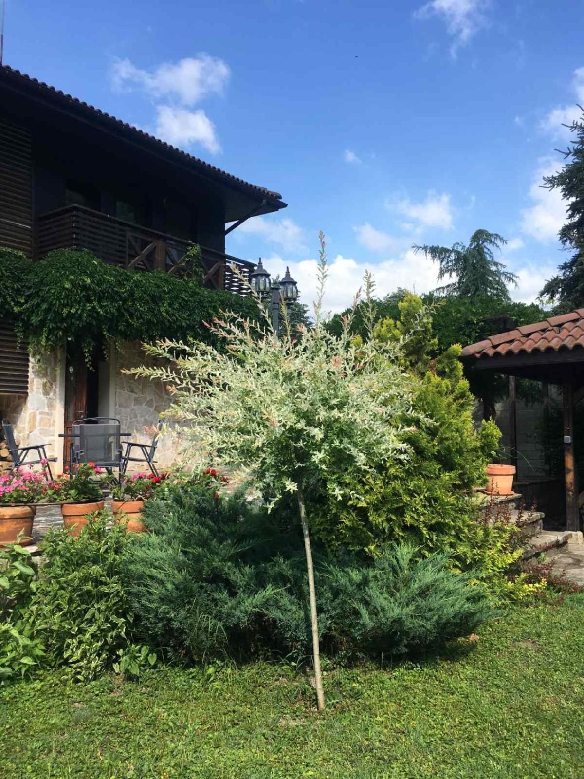 Eco Residence Рибарица Экстерьер фото